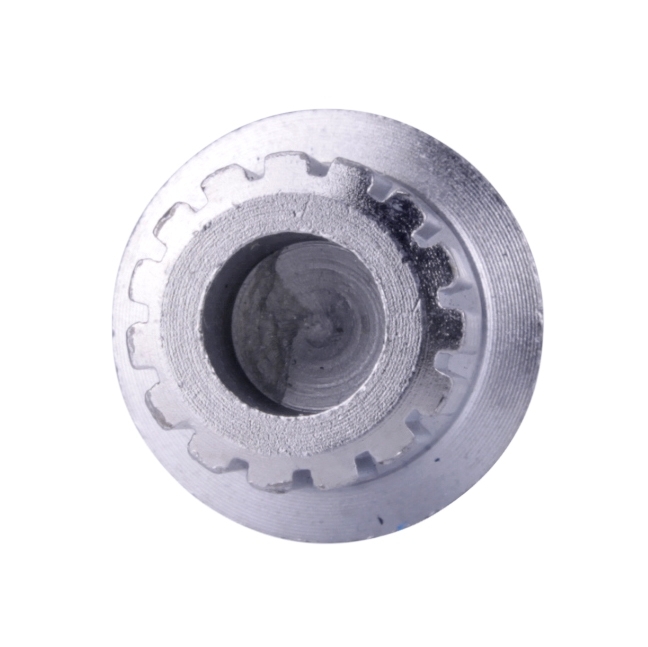 15-kant Einsatz-Felgenschloss für Steckschlüssel wie OEM T10101-C060