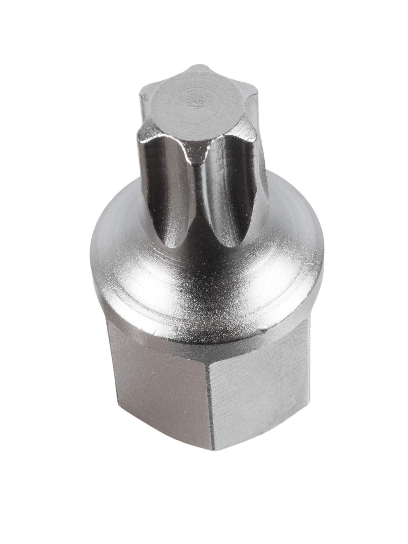 Keilrippenriemen Einsatz T-Profil für Torx T60 wie VAG T40087 Steckschlüssel Nu